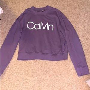 calvin klein cropped sweatshirt